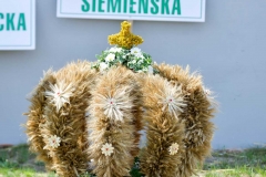 0379 UG Siemien