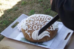 2e4f4g77